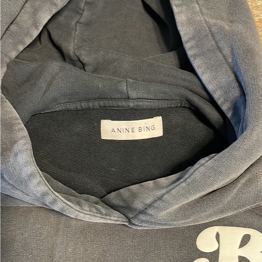 Anine Bing Hoodie